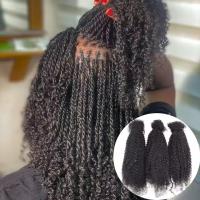 Human Hair Afro Kinky Hair Bulk