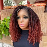 14" MicroTwist Full Lace Braided Wig